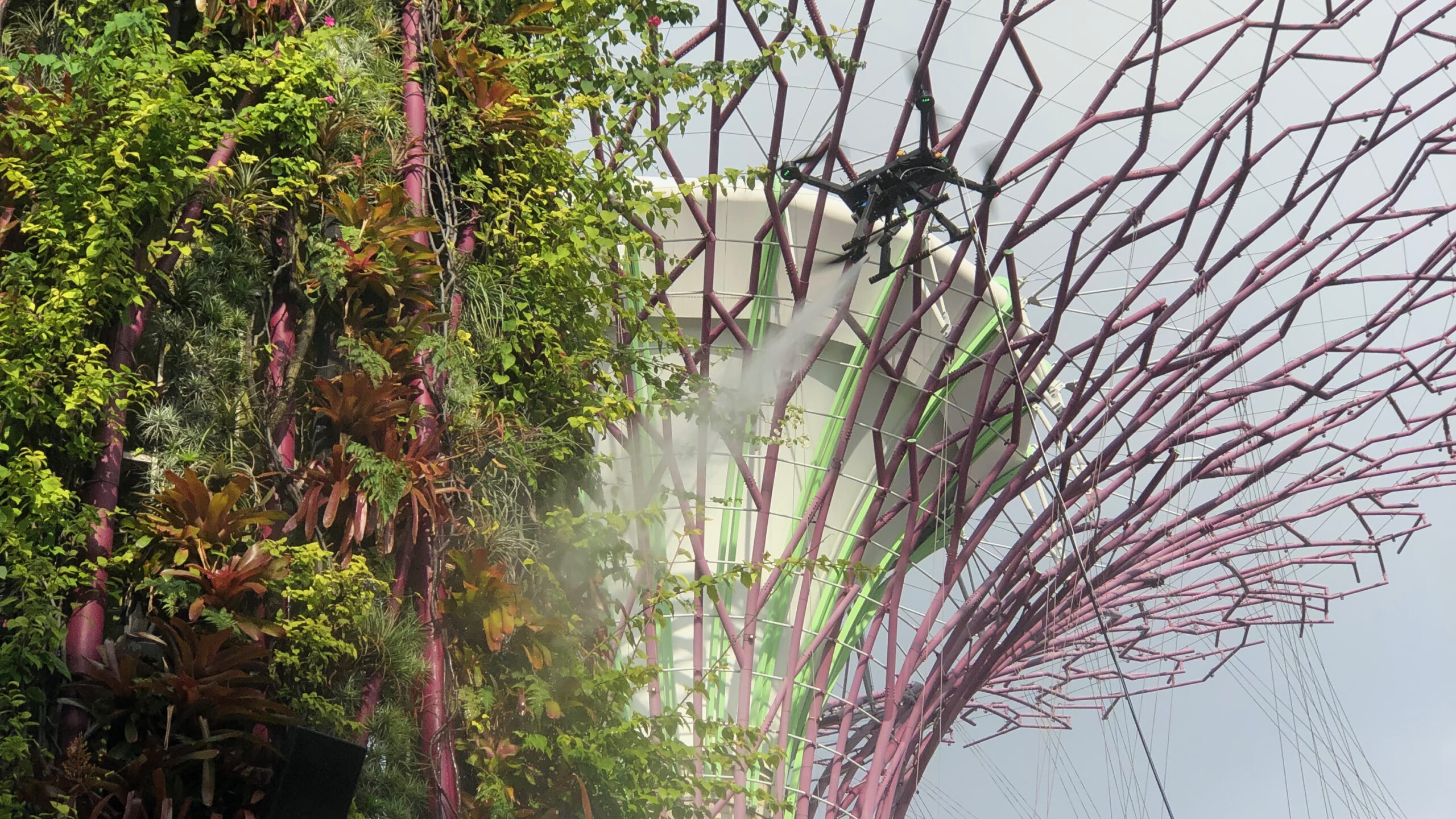ALICE cleaning supertrees at Gardens by the Bay